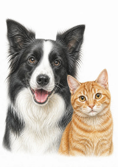 Two pets together in a colour-pencil portrait example